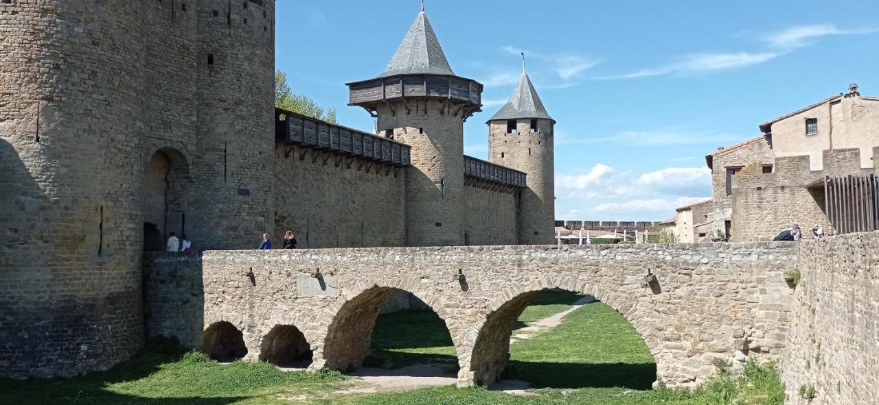 La Douce Cathare Apartment Carcassonne Luaran gambar